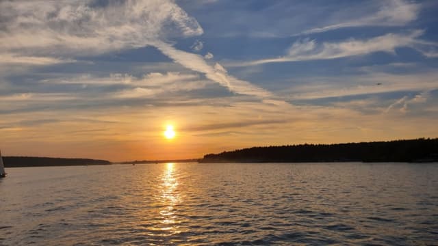 Северное водохранилище утром